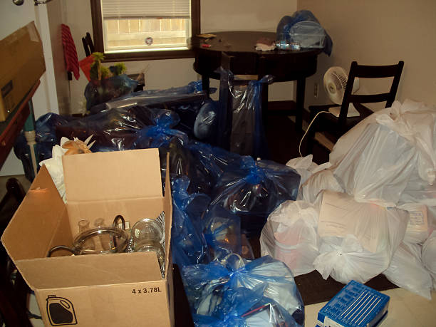 Best Affordable Junk Removal Services  in USA